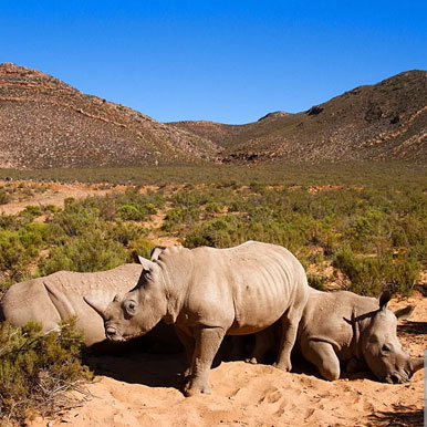 13 Day Exclusive Fully Serviced Namibia