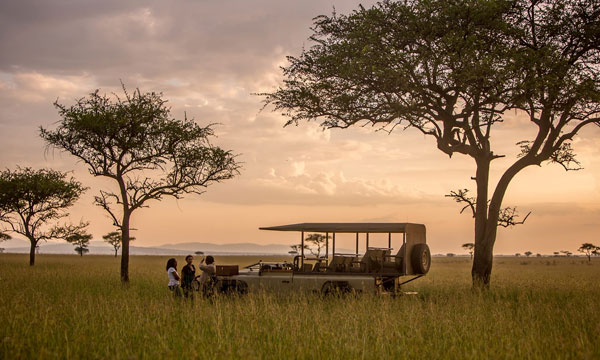 13 Day Honeymoon in Serengeti and Seychelles
