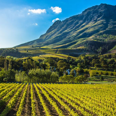 14 Cape Town, Garden Route and Winelands Golf Holiday