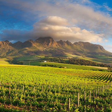 15 Day Rovos Rail All Inclusive Cape Winelands Golf Holiday