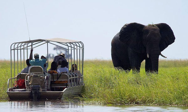 3 Days Chobe National Park Safari Package