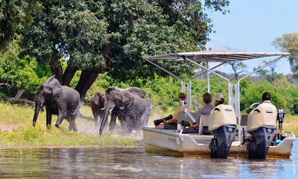3 Days Chobe River Safari | Houseboat Adventure