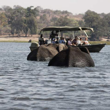 3 Day Chobe National Park Safari Package