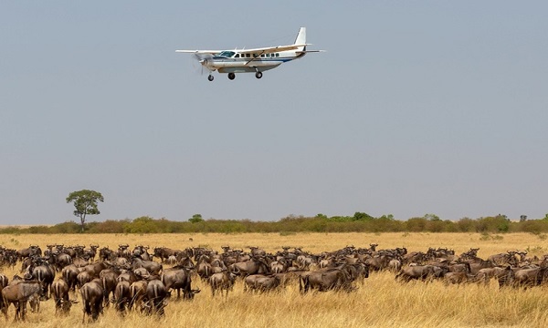 3 Day Kenya Fly-In Safari to Masai Mara Reserve