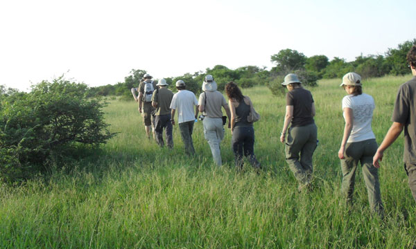 3 Day Kruger Walking Safari