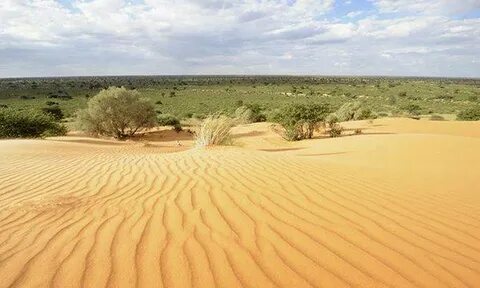 4 Day Desert Dream -Sossusvlei Desert Tour