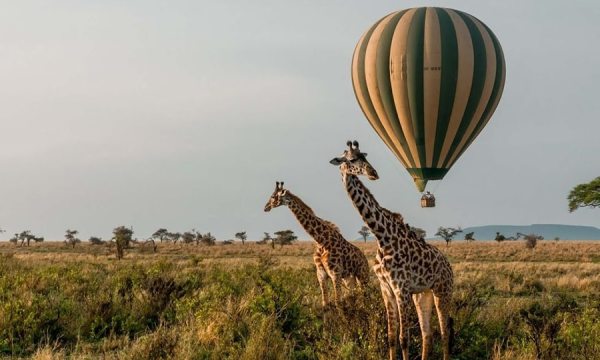 4 Day Etosha Fly-in Safari