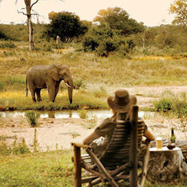 4 Days Family Safari Lodge Holiday Package