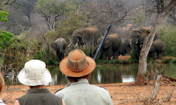 4 Day Family Safari Lodge Holiday Package