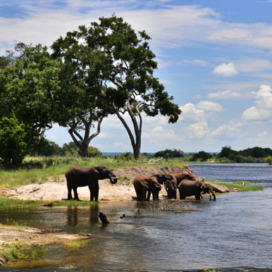 4 Days Zambezi River Retreat