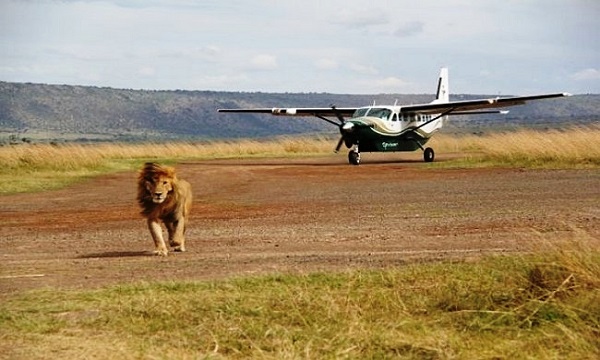 4 Day Masai Mara Fly-In