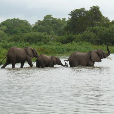 4 Days Relaxing Sounds of Selous River