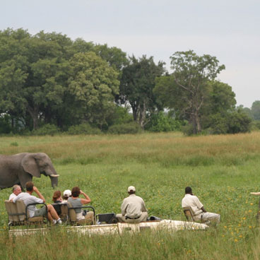 Classic Okavango to Linyanti Fly-in Safari Tour