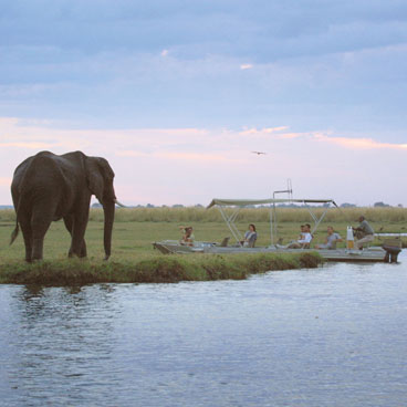 5 Day African Thunder