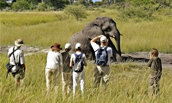 5 Days Classic Okavango Delta Family Safari Tour