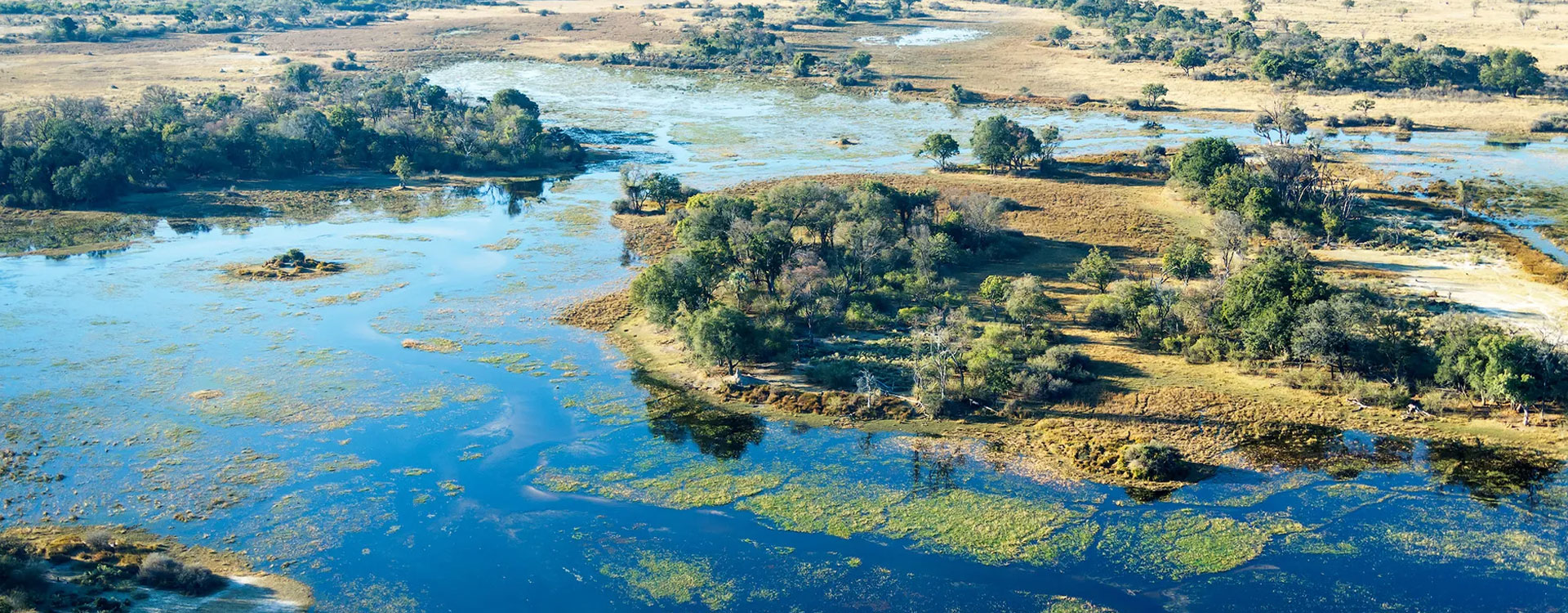 5 Day Mokoro Trail in The Okavango Delta