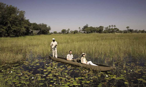 5 Days Mokoro Trail in The Okavango Delta
