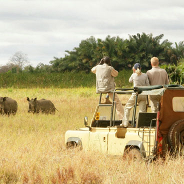 Premier Okavango and Chobe Safari Tour
