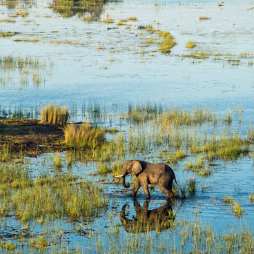 Premier Okavango and Chobe Safari Tour