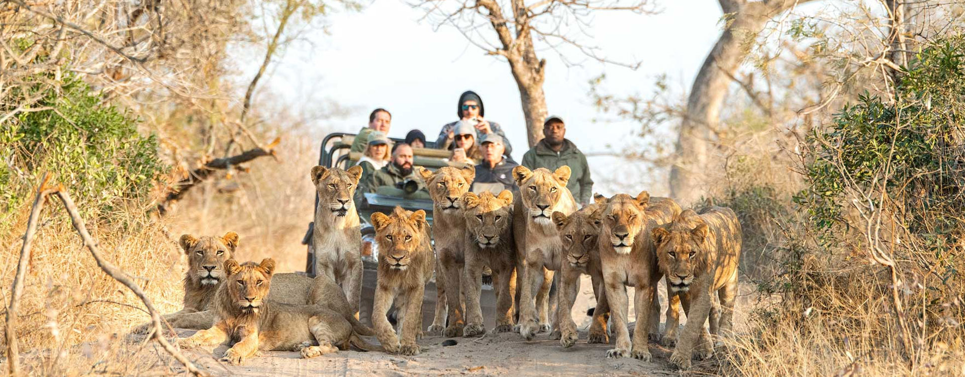 5 Days 4 Nights The Greater Kruger Adventure