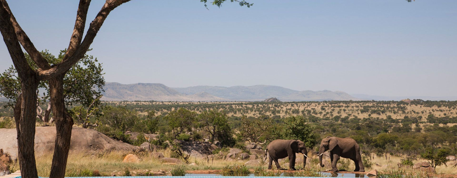 5 Days Tranquil African Safari