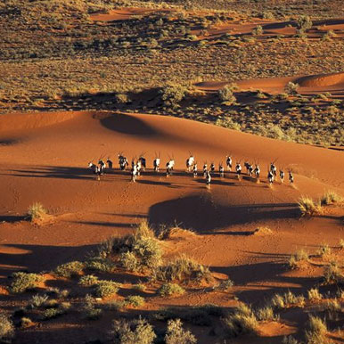 6 Day Canyons & Desert Tour Namibia