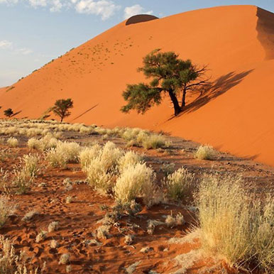 6 Day Canyons & Desert Tour Namibia
