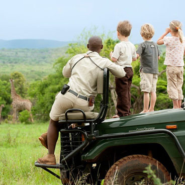 Serengeti family safari