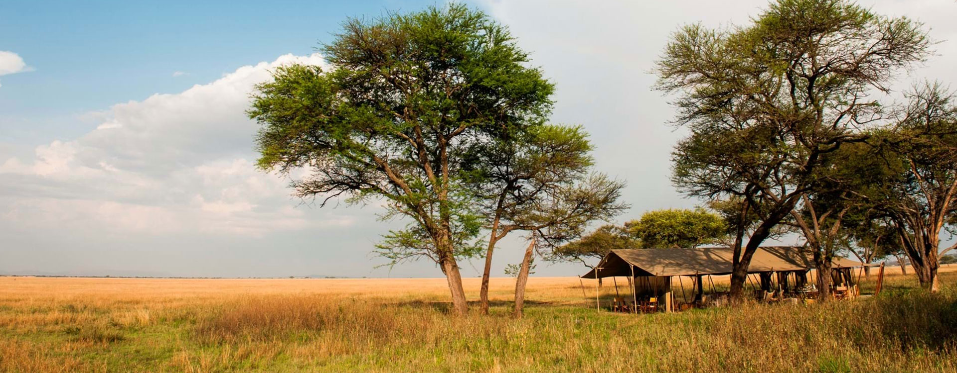 6 Days Classic Tanzanian Tented Safari