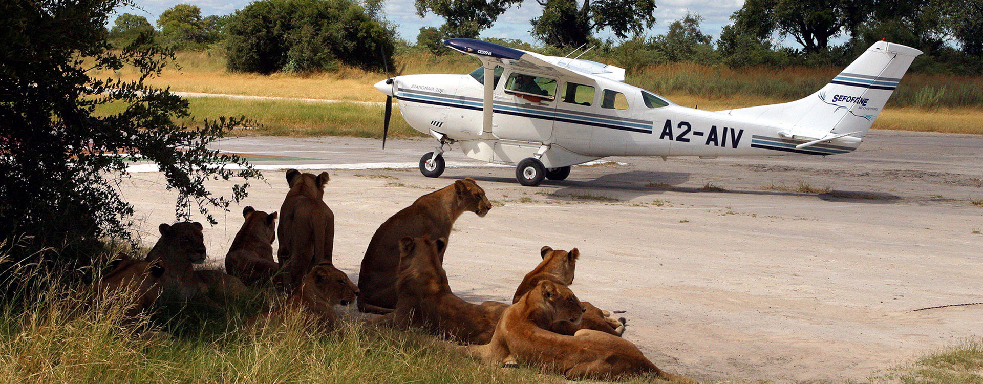 6 Days Excursion & Mara Fly Safari