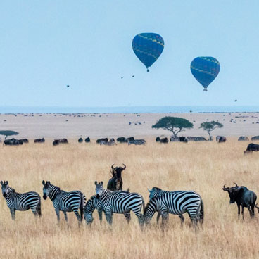 Royal Quest Tour Mount Kenya, Rift Valley Masai Mara