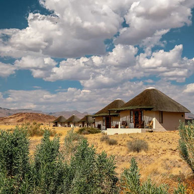 7 Day Namibia Highlights Fly--in Safari