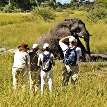 Botswana family safari