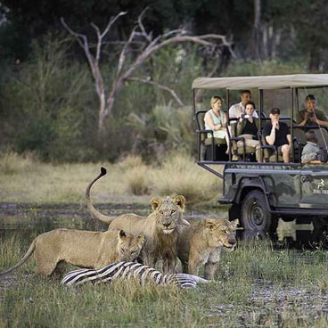 7 Days Botswana Family Safari