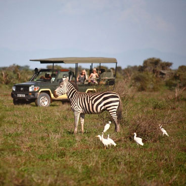 7 Day Botswana Wildlife Safari