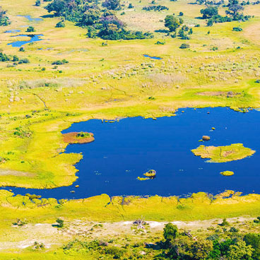 7 Day Predators of Okavango and Linyanti