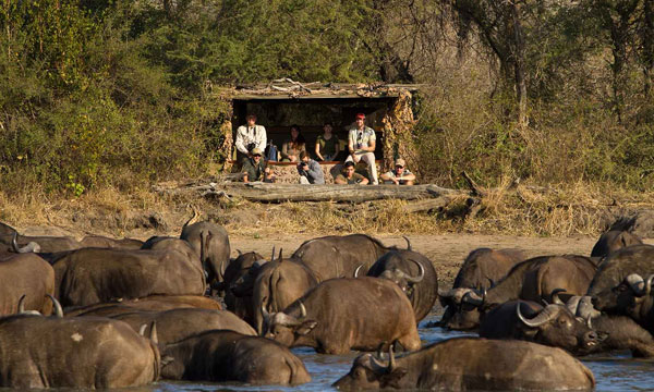 7 Day Private Kruger tour
