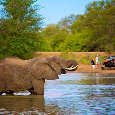 7 Day Ultimate Luxury Botswana Wildlife Safari