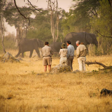 Classic Chobe & Okavango Delta Honeymoon Safari Tour