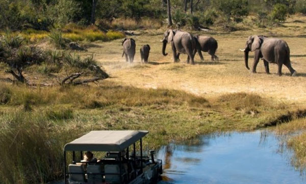 7 Day Untamed Botswana Safari
