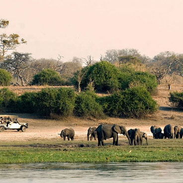 7 Day Untamed Botswana Safari