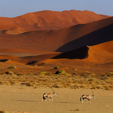 2 Day Namib Desert Trail
