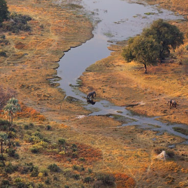 8 Day Wilderness Safari | Okavango Delta, Savute Channel & Livingstone