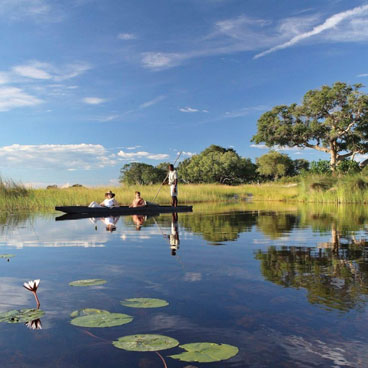 8 Day Botswana Green Safari