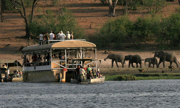 8 Days Guided Safari Botswana