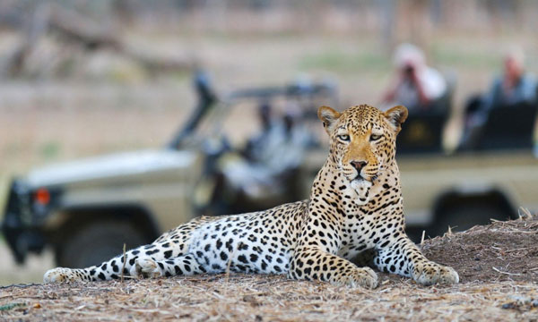 8 Day Wildlife on your Doorstep Safari