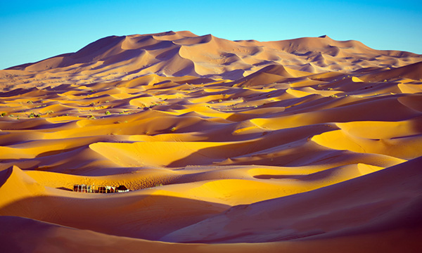 9 Day Desert & Dunes Safari Standard