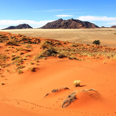 10 Days Namibian Desert & Damaraland Trail