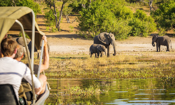 9 Days Elephant Encounters Safari