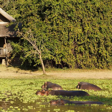 9 Days Iconic South Luangwa Safari